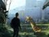 The Last of Us Game Review
